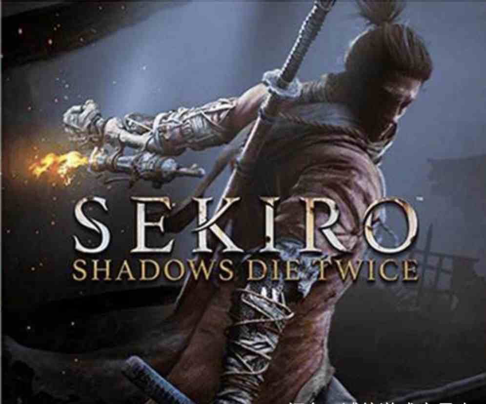 steam游戏全服租号0.8元/小时-只狼 影逝二度/2.