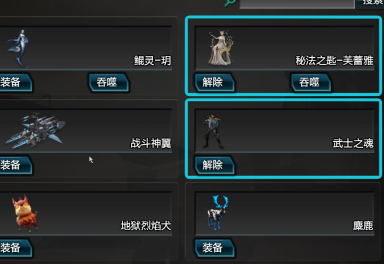 元素套芙蕾雅宠物丨极光诸神套光辉羽翼丨麋鹿战车丨虚空假面丨武士之