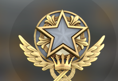 csgo73黄金段2021服役勋章73很基础皮肤箱子73可完美73已购