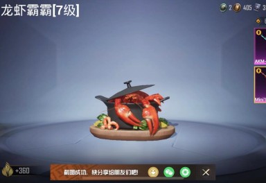 和平精英苹果微信区租号9元/小时-11粉装akm-炫紫旋律7级,mini14-龙虾