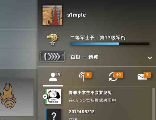 csgo国服白银老鹰等级三服通用蓝皮多变迷彩可竞技绿信