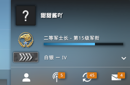 csgo白银段位图图片