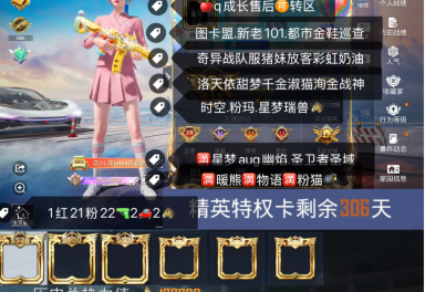 ‘永劫无间卡盟’市场现状与发展趋势